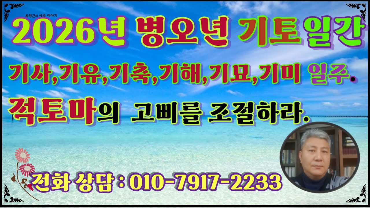 2026 병오년 기토일간 1년 총운