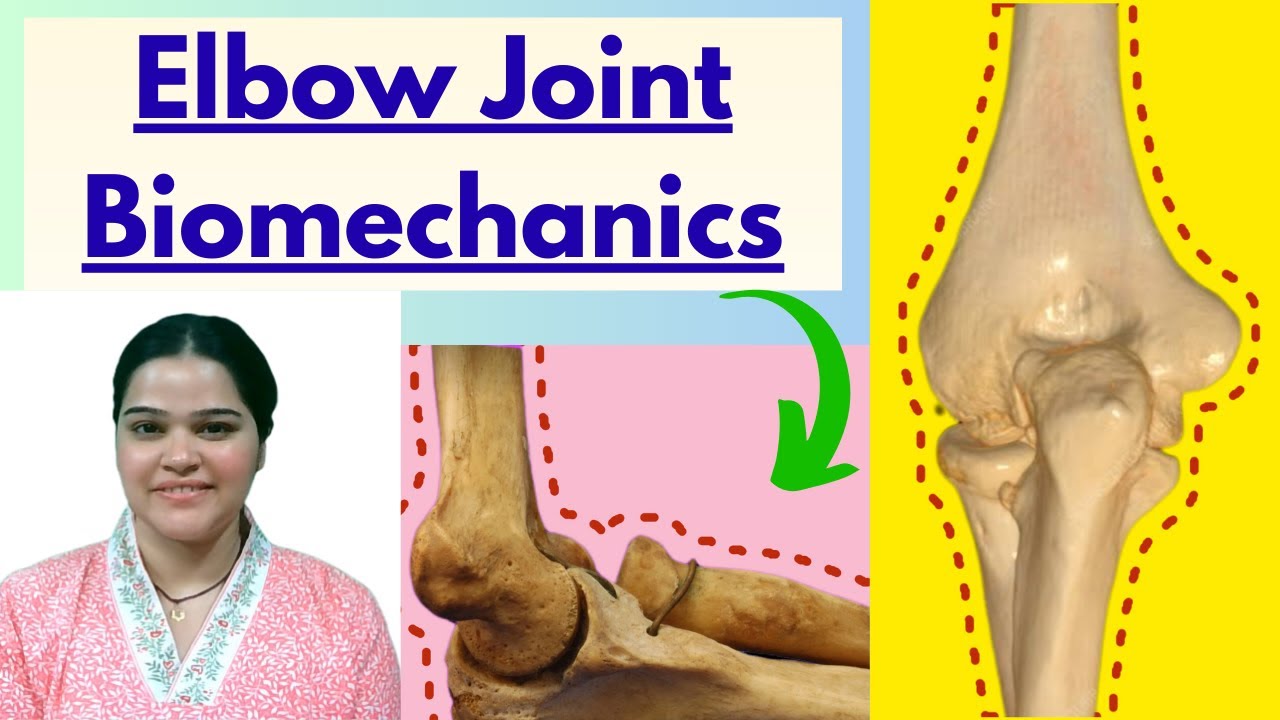 Elbow joint BIOMECHANICS-clear all your concepts in just one video