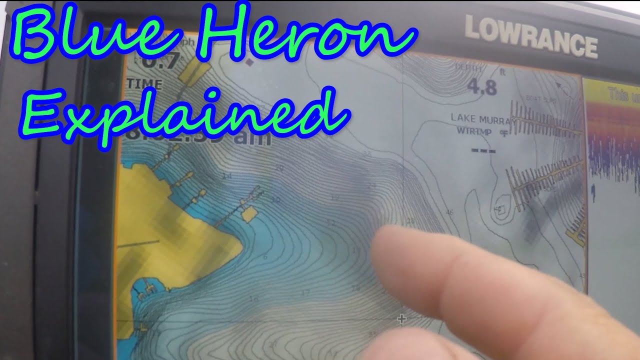 Calling up Blue Herring on Top-water Baits! Where do they go?