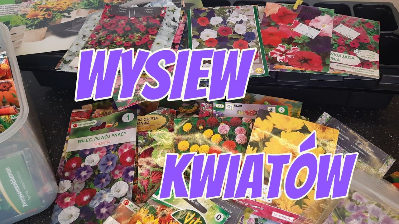 PIERWSZE WYSIEWY W NOWYM ROKU 🌱 JAKIE KWIATY WYSIEJE DO OGRODU 🌺