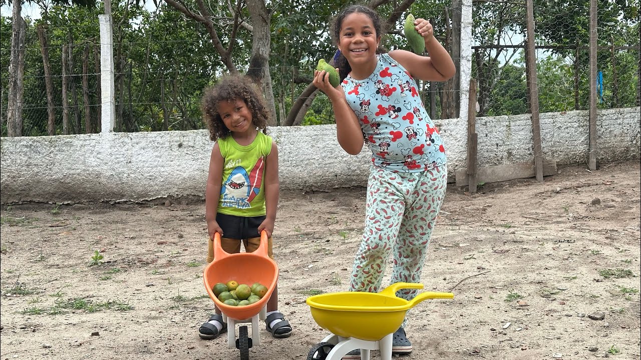 COMPREI CARROCINHAS PARA MARINA E LUCAS!!!