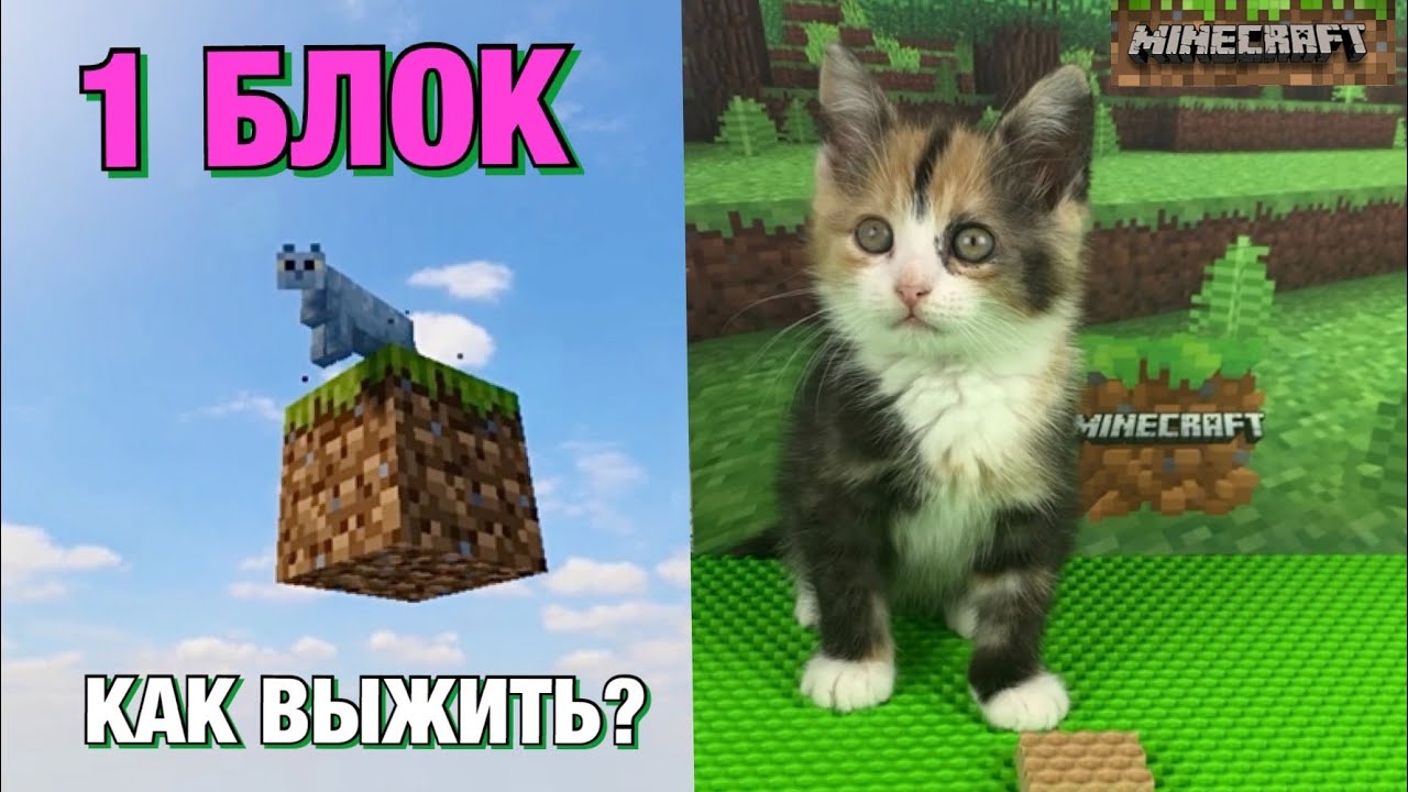 ВЫЖИВАНИЕ на 1 БЛОКЕ в МАЙНКРАФТ вместе с КОТЁНКОМ 😱😻🧩