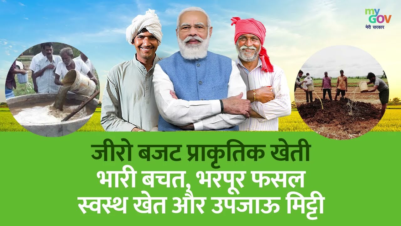 4 Pillars of Zero Budget Natural Farming