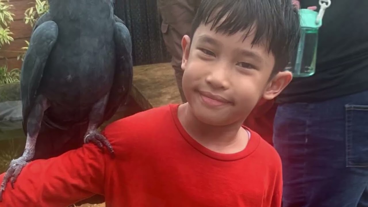 Kunjungan bersama TK Al Muhajirin ke AVIARY PARK Bintaro