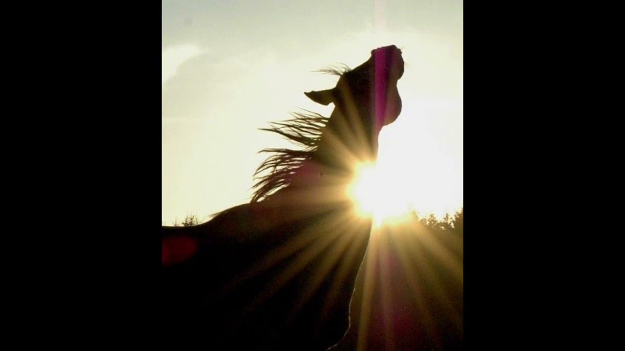 [free] YEAT x A DANGEROUS LYFE type beat 