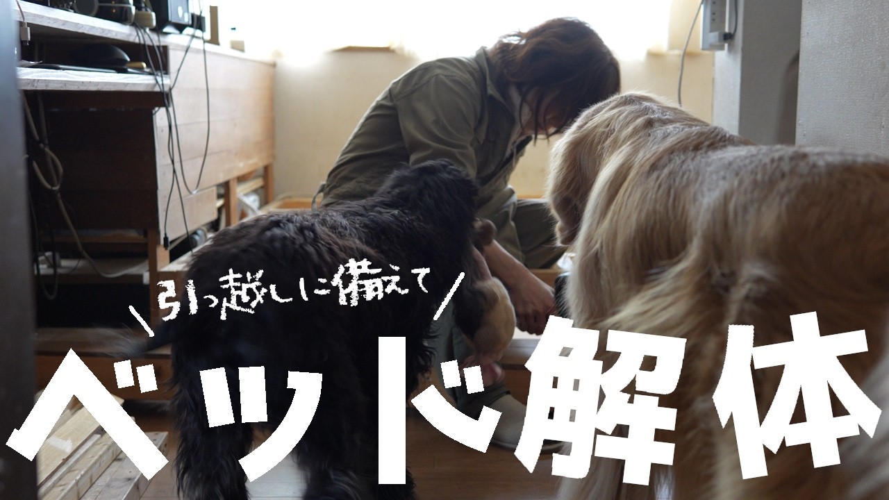 普段掃除出来ない所を開けてみたら凄い事になってました