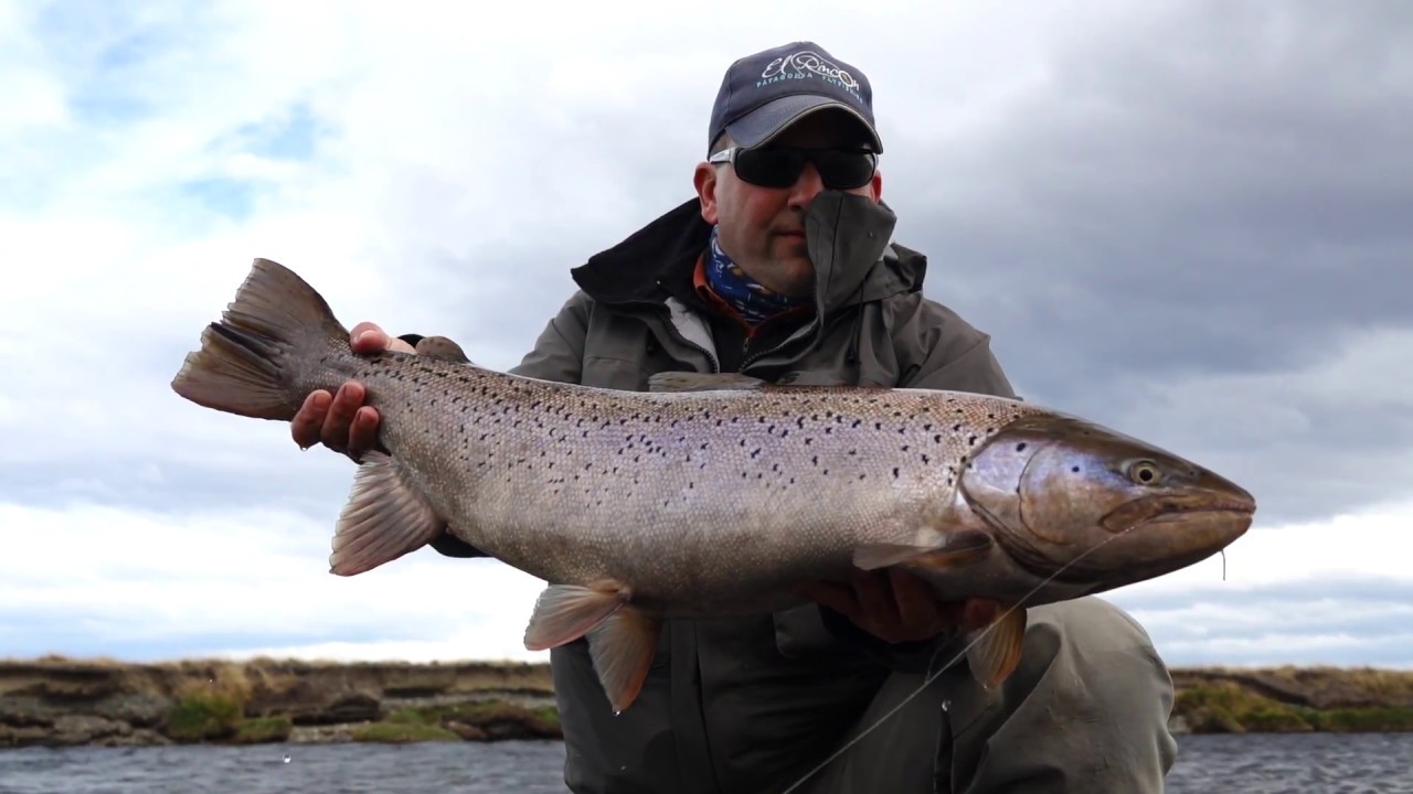 El Rincon Lodge - SEA TROUT - BROWN TROUT - Rio Penitente - Our First Plan