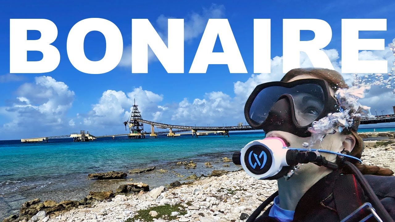 Лучшее место для дайвинга с теплой водой — Бонейр