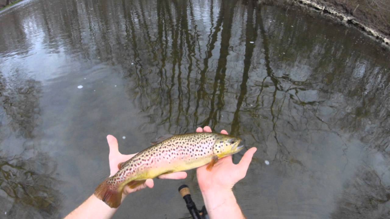 Peaceful Fly fishing oatka creek