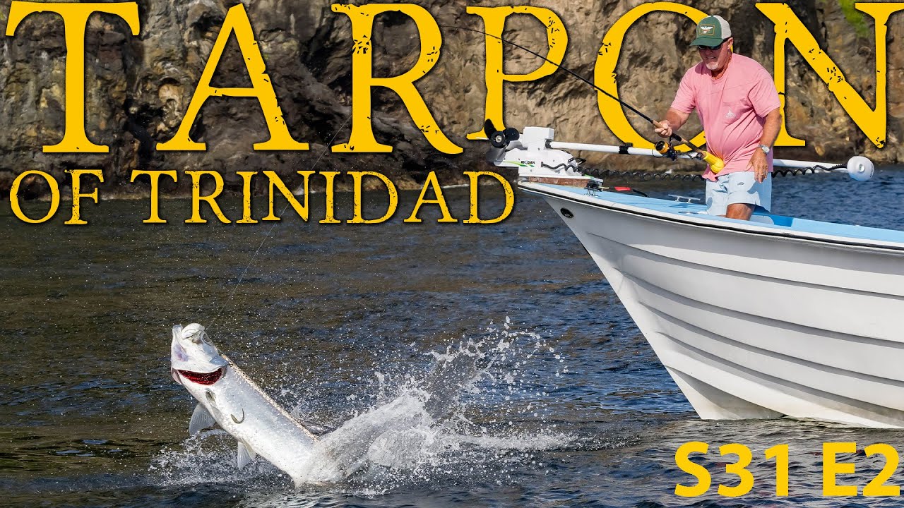 Catching Tarpon on the Cliffs of Trinidad