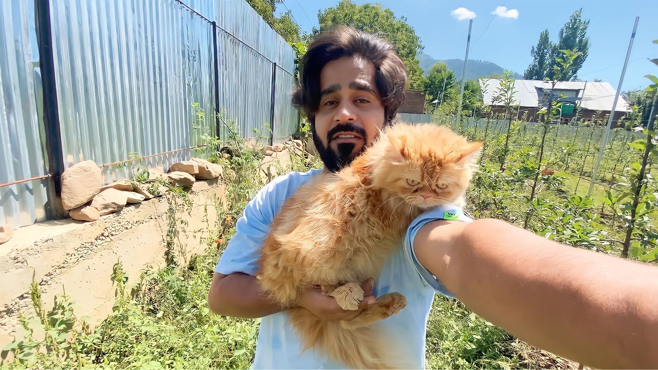Haya pregnant🤣|Visited orchard after a Long🥰