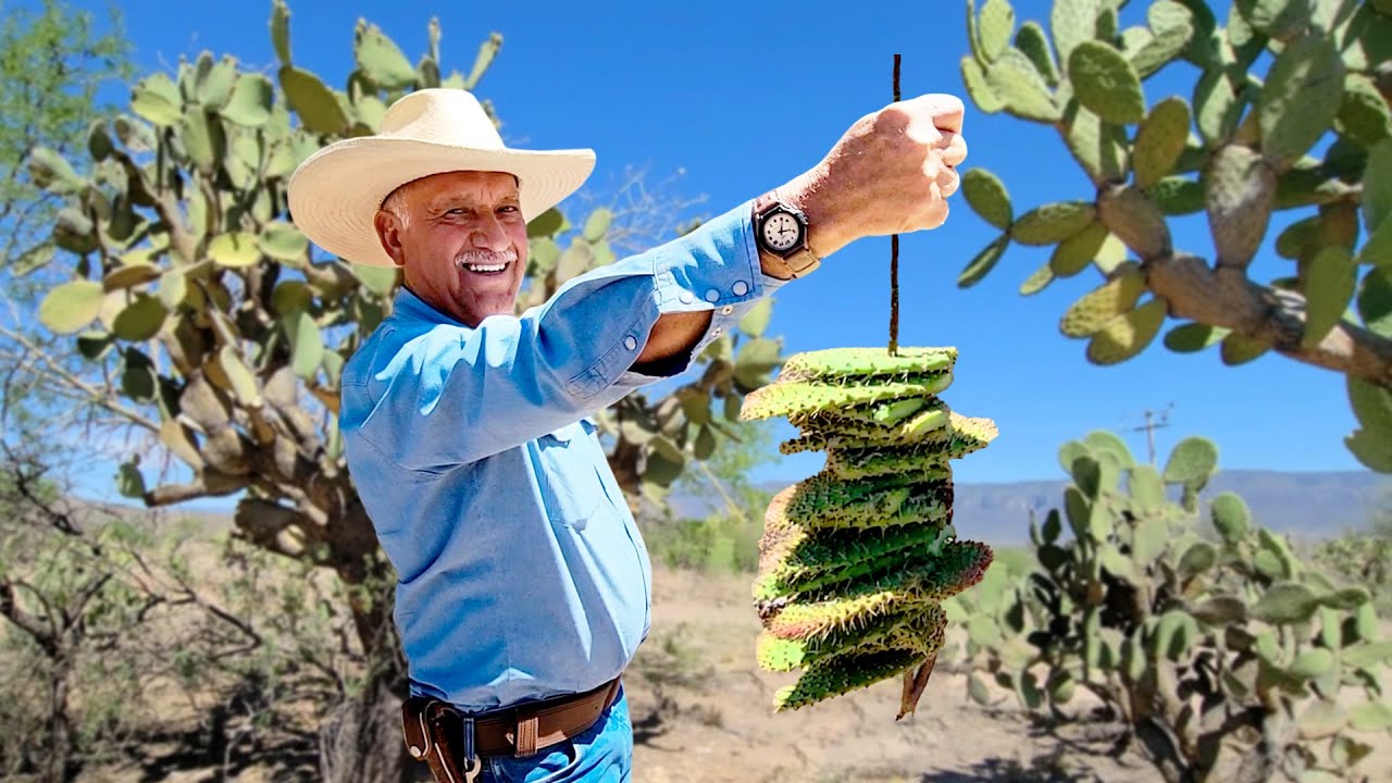 CORTANDO Y PELANDO NOPALES EN EL MONTE