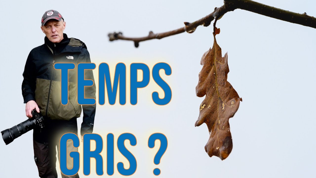 📷 Photographie de paysage en hiver : réussir ses photos par temps gris