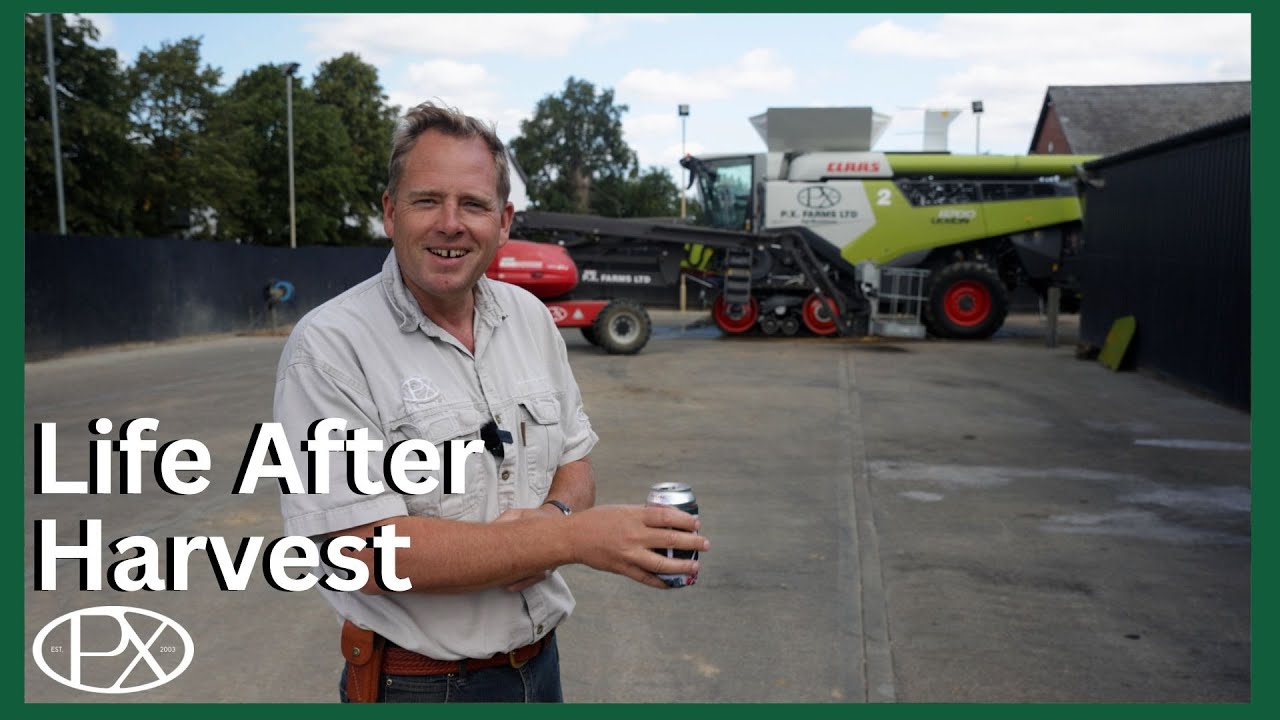 Grain Stores, Big Bills & A New Pony - What Happens After the Combines Stop?