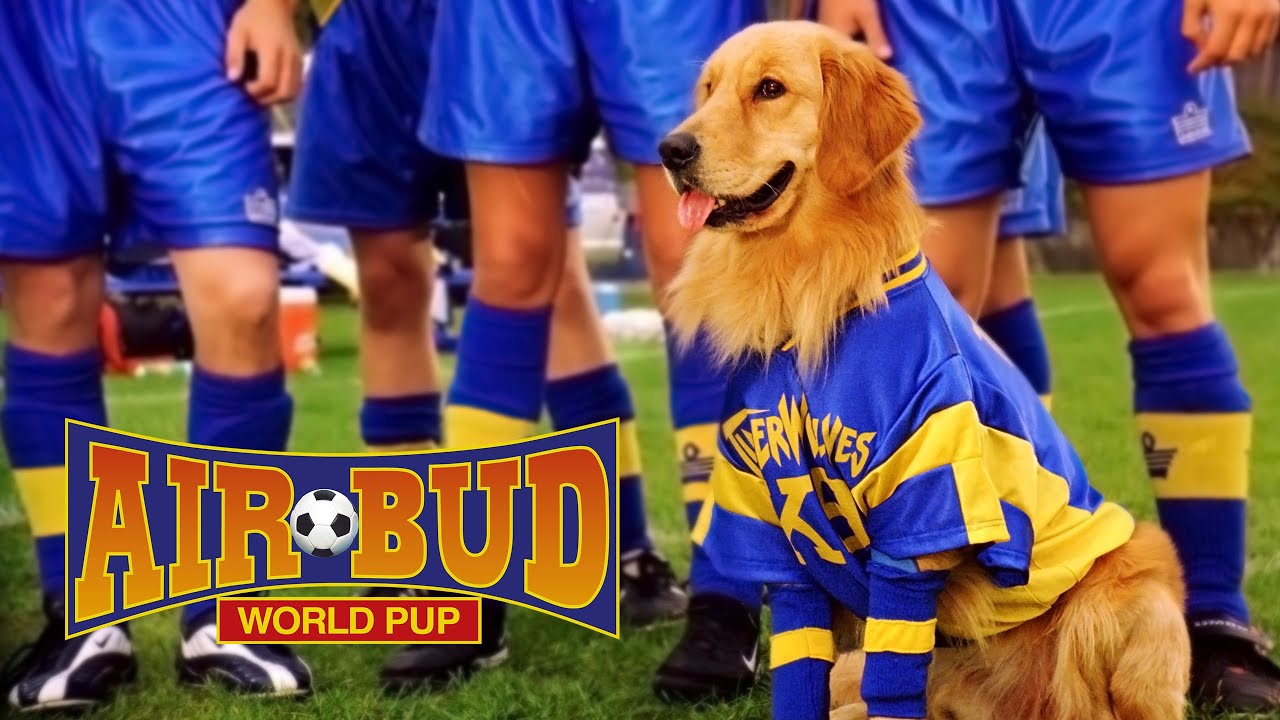 C&atilde;o Amigo: Filhote Mundo Film - Brasil version