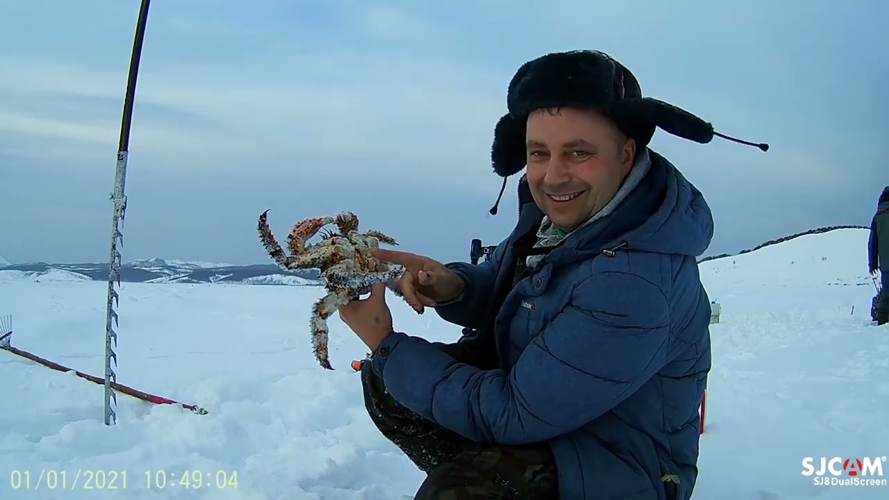 много крабов