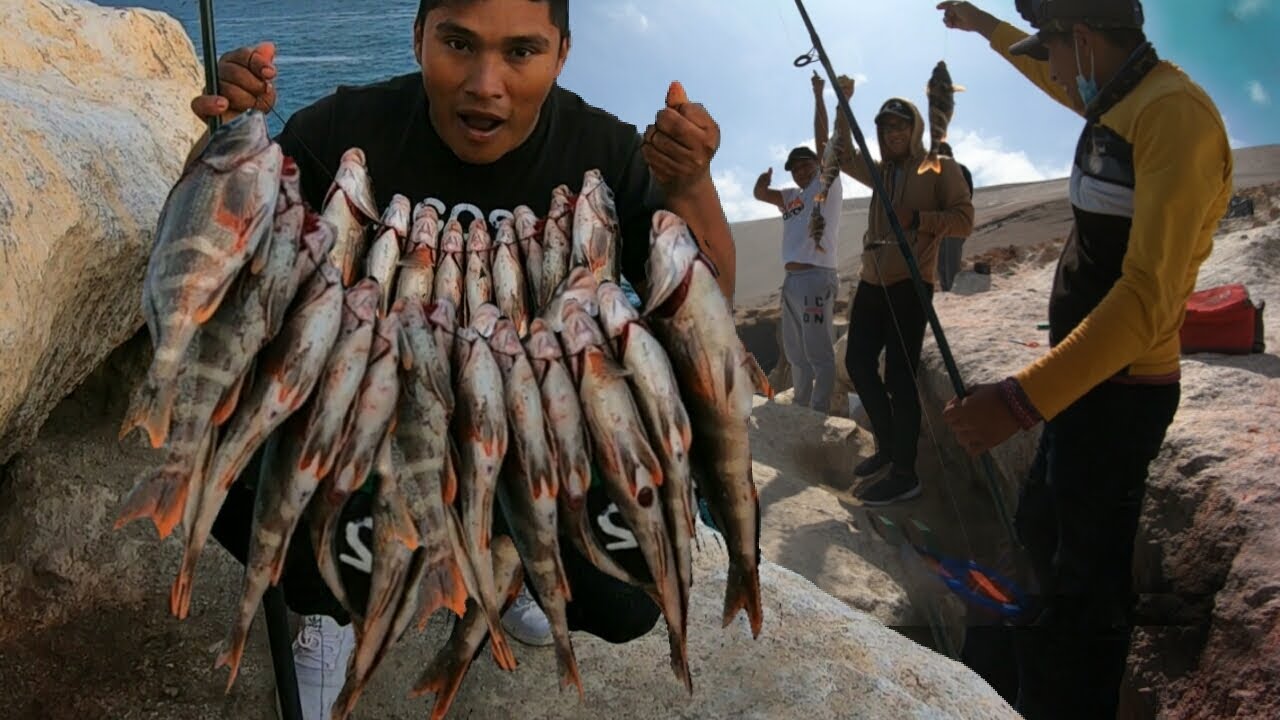 &iexcl;INCRE&Iacute;BLE! PESCA DE PINTADILLAS GIGANTES con Seguidores