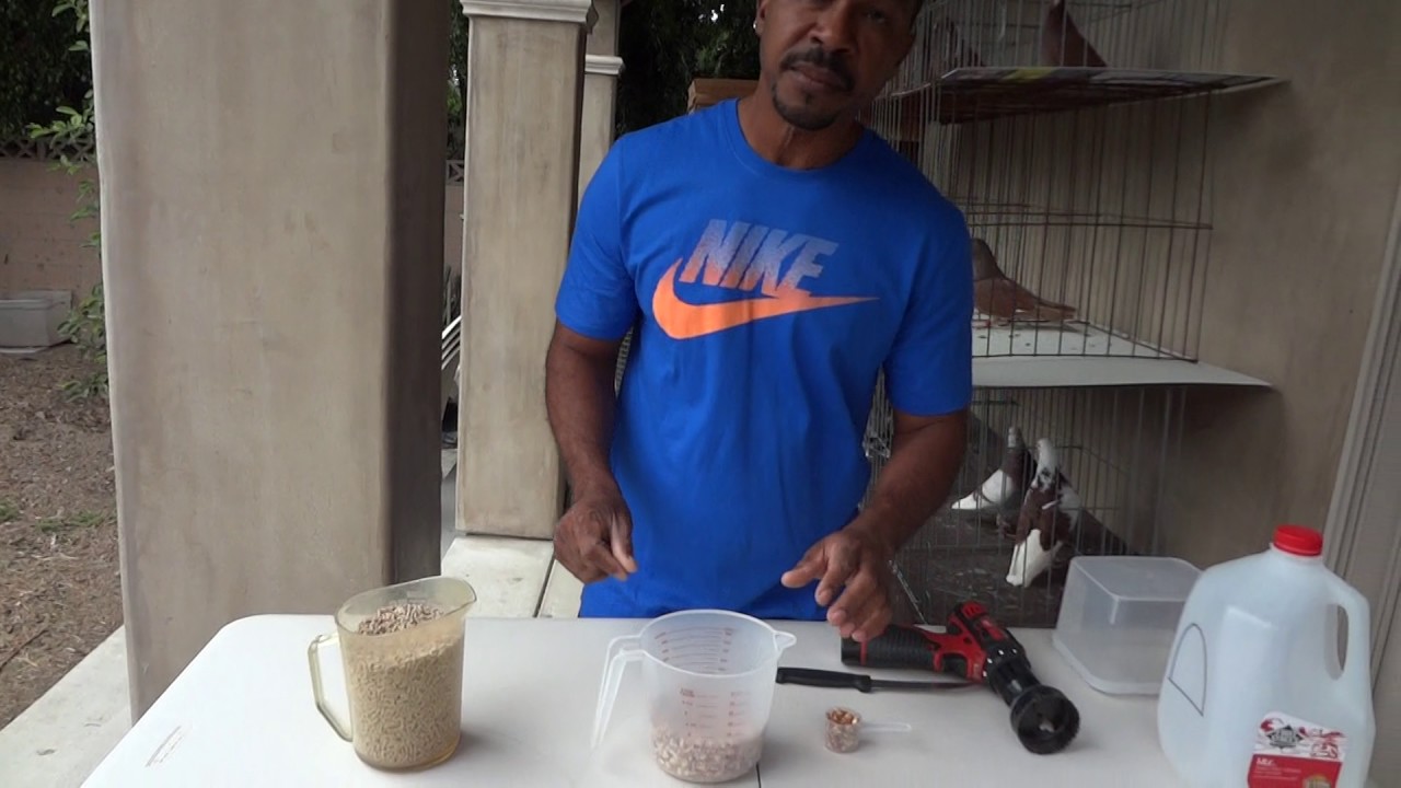 Roller Pigeon Food & Fixure Nessecities with Sam Smitty