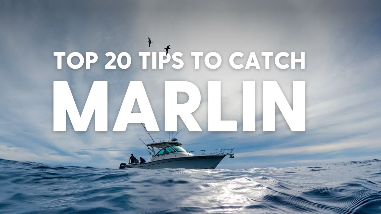 How To Catch Marlin in Sydney with Rod Findlay
