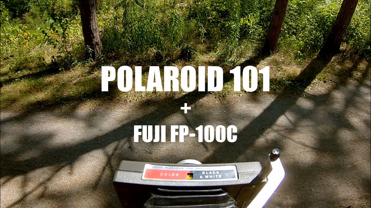 Polaroid Land Camera 101 + Fuji FP-100C — North Tract Photo Walk