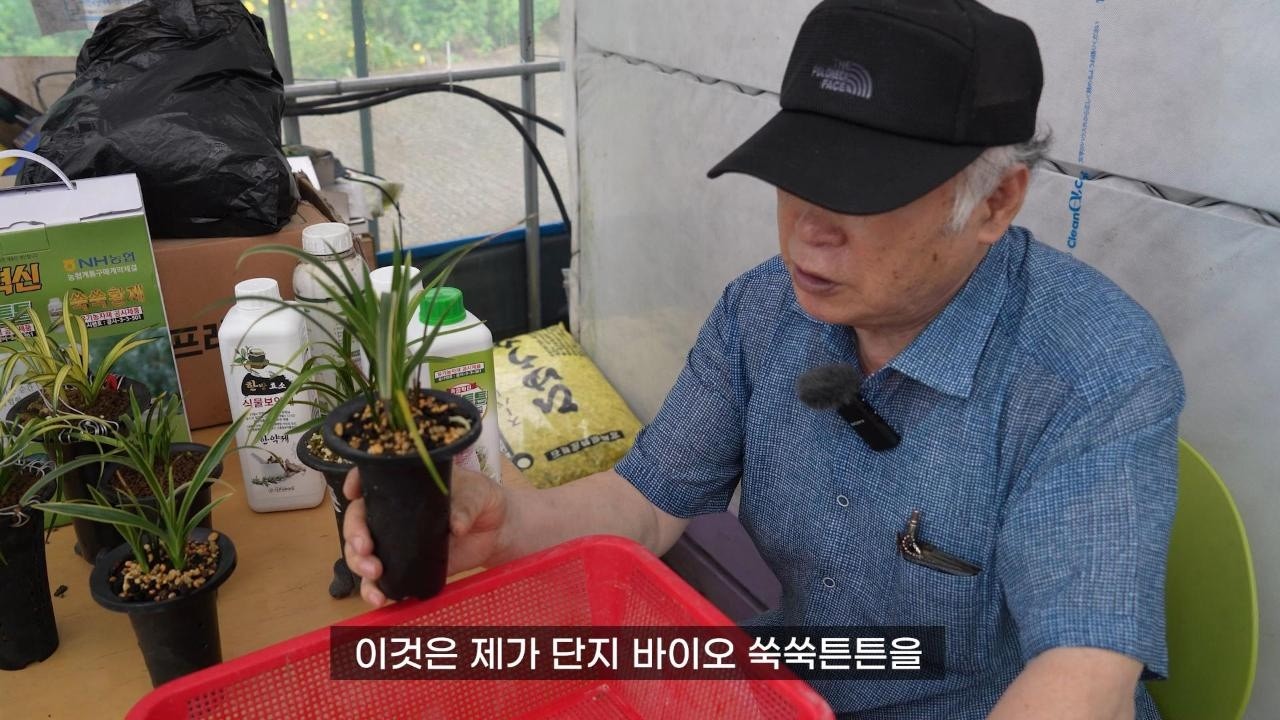난 전문가라면 꼭 봐야 합니다.