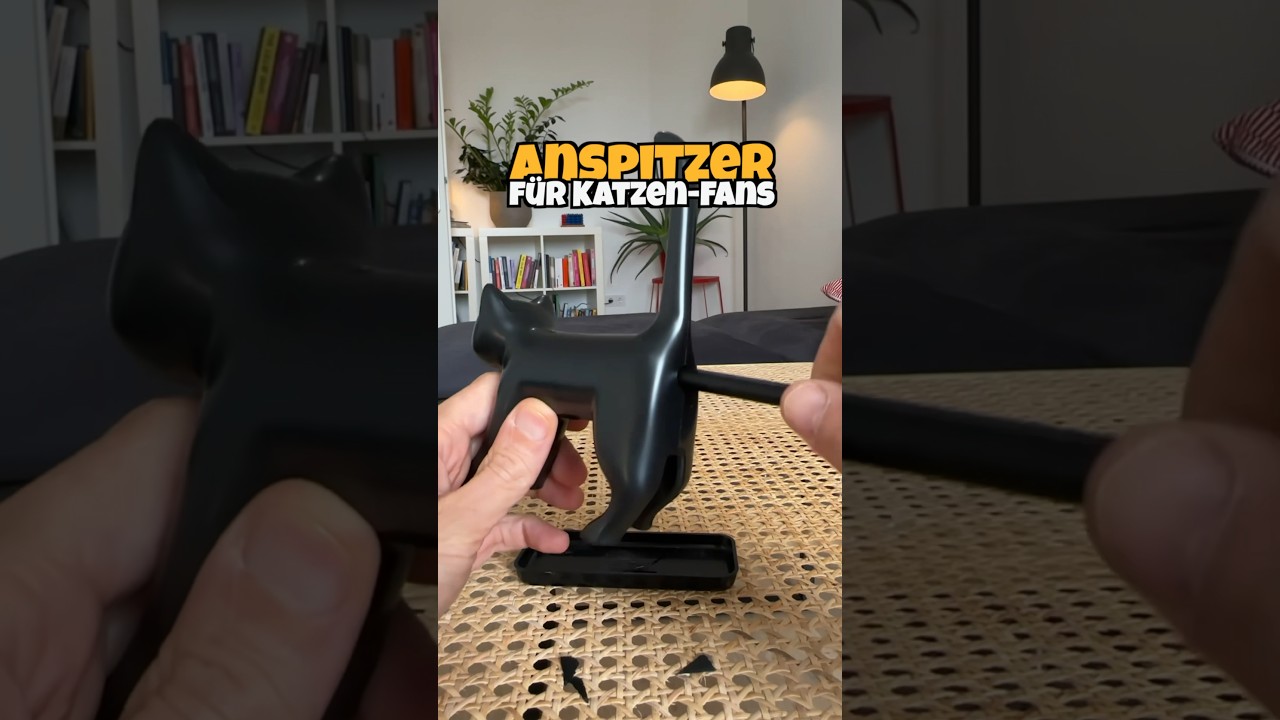 Anspitzer für Katzen-Fans 😻