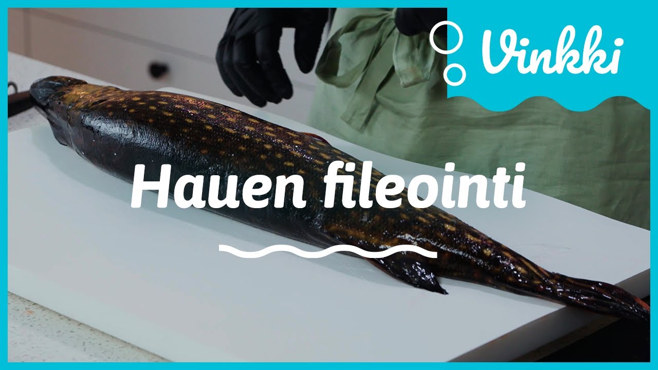 Hauen fileointi | Kalan käsittely