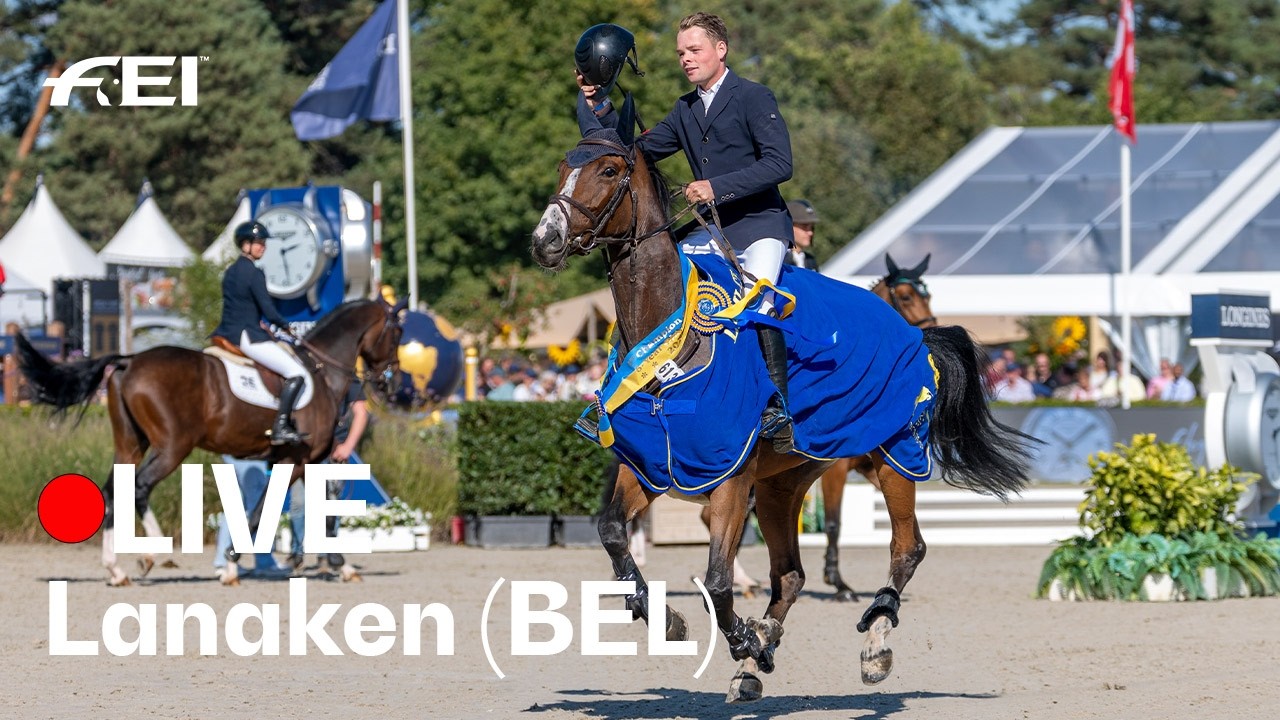 🔴 LIVE | 2nd Qualifier | FEI WBFSH Jumping World Breeding Championship for horses of 6-years of age