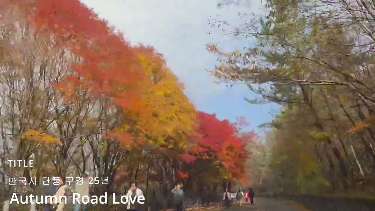 Autumn Road of Love