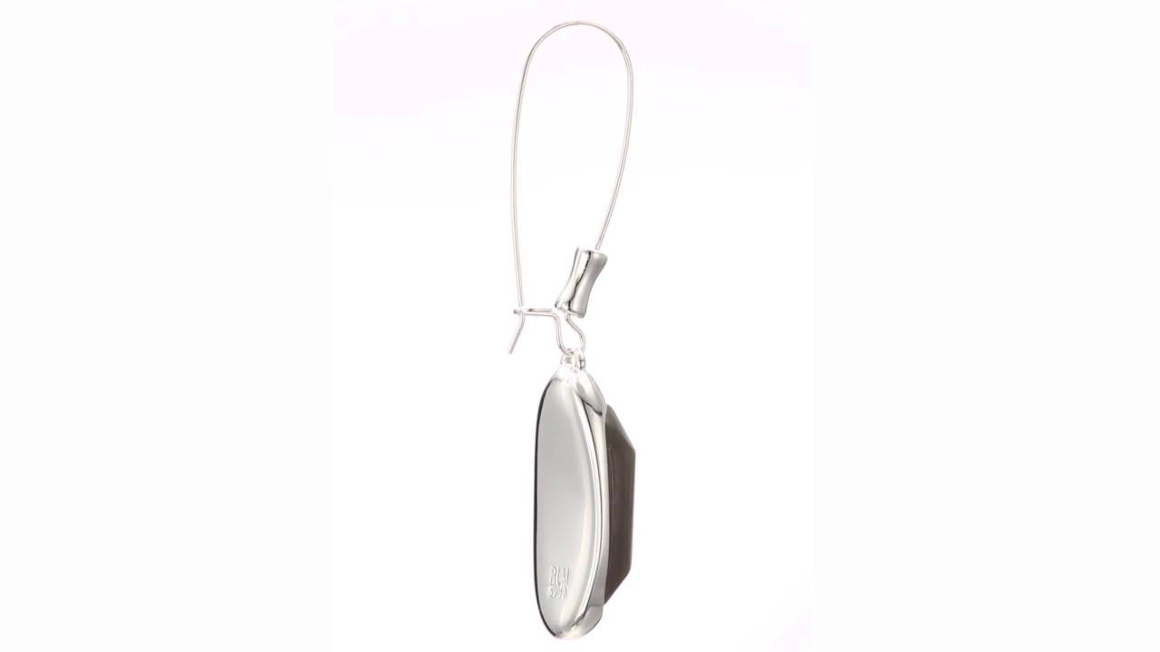 Robert Lee Morris Grey Stone Shepherd Hook Earrings  SKU:8696521