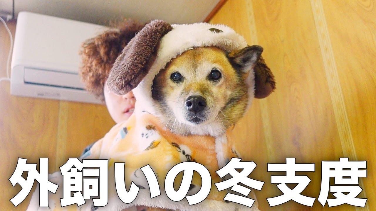 長年外飼いだった愛犬コロちゃんの防寒対策がこちらです。
