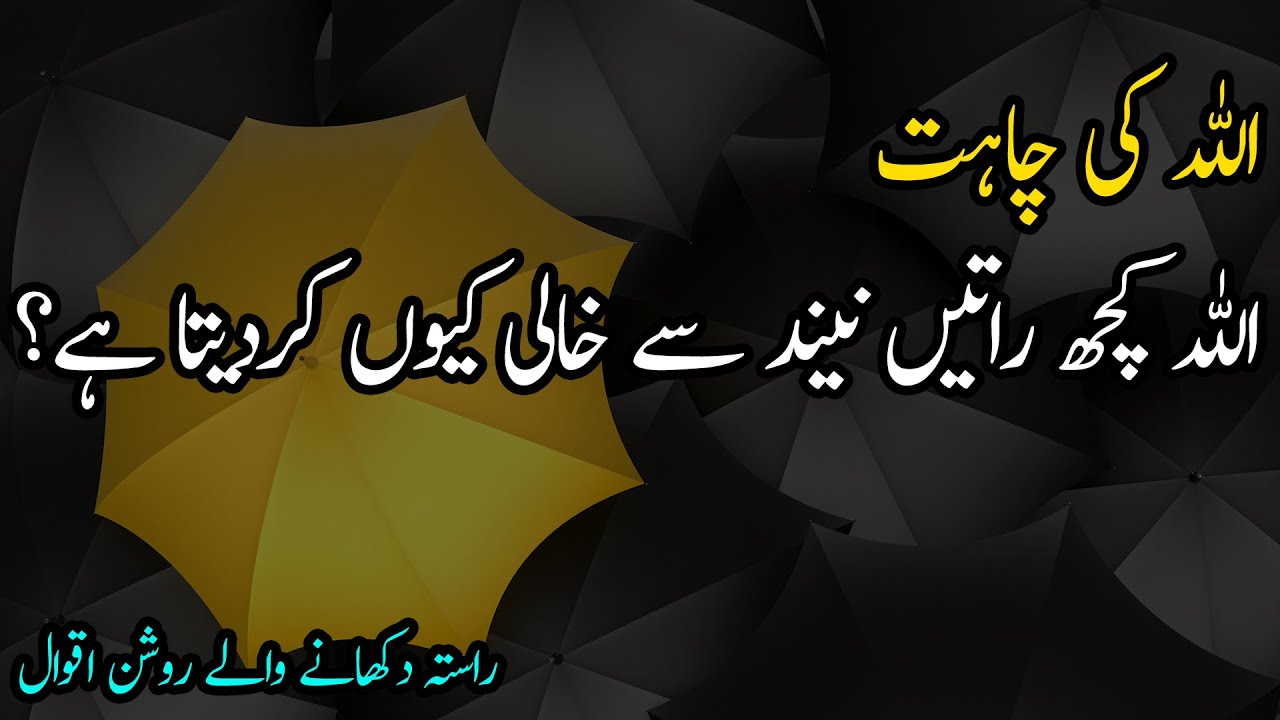 ALLAH Ki Mohabbat, Chahat Aur Hidayat Quotes | Amazing Quotes about Love in Urdu | Hindi Quotes