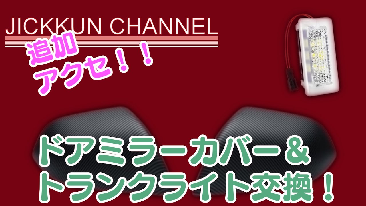 【テスラ】アリエクアクセさらに追加！ドアミラーカバー＆トランクライト【M3P】
