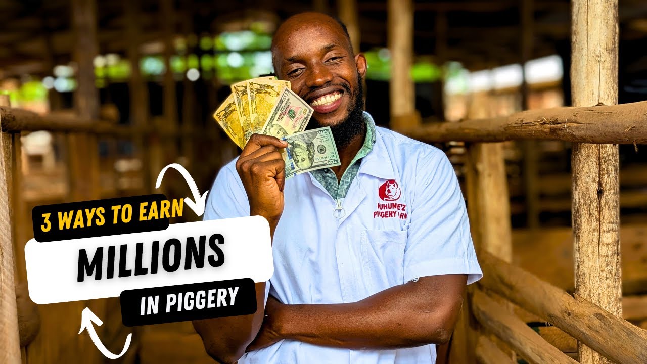 3 Ways To Earn Millions In Piggery!