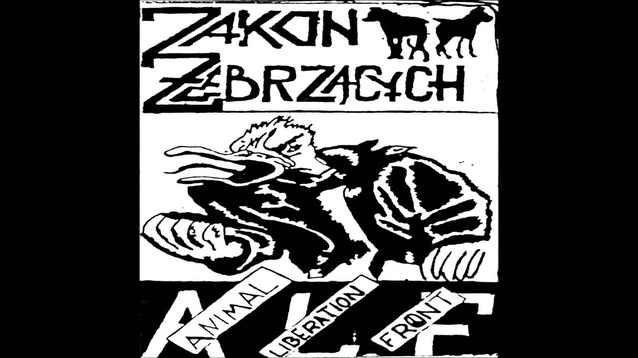 ZAKON ŻEBRZĄCYCH - 