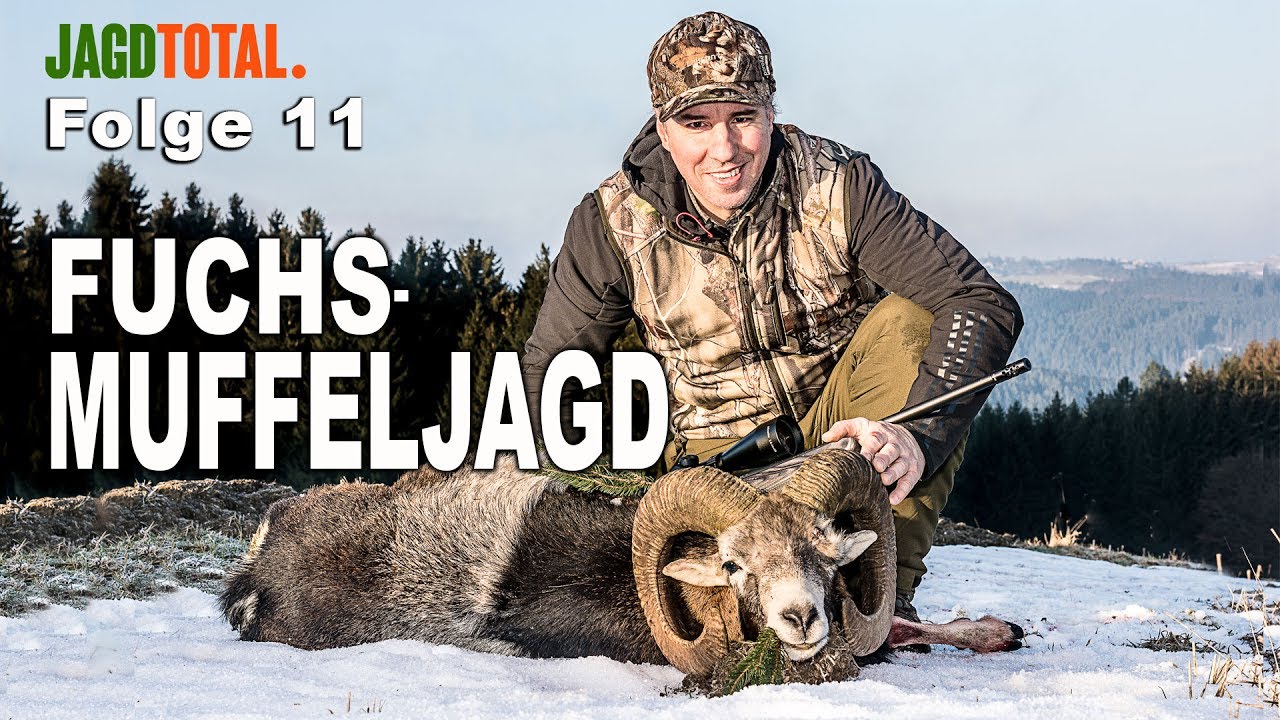 Muffeljagd - Fuchsjagd | JAGD TOTAL Folge 11
