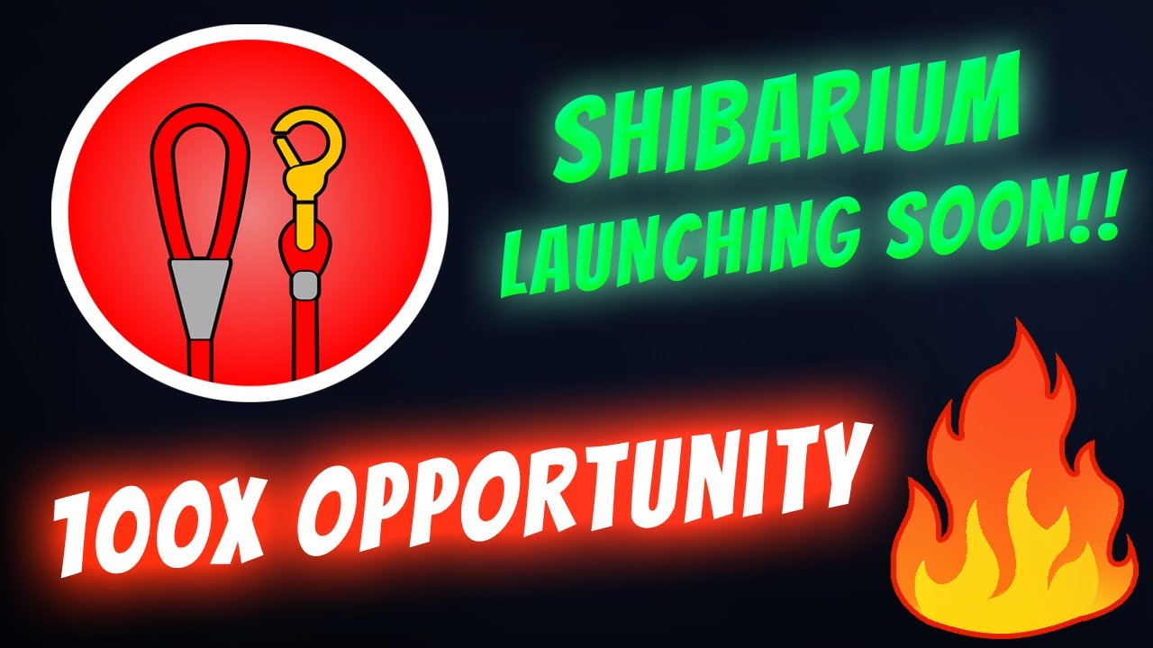 Leash Token to the moon!!! The Opportunity of a Lifetime!!!