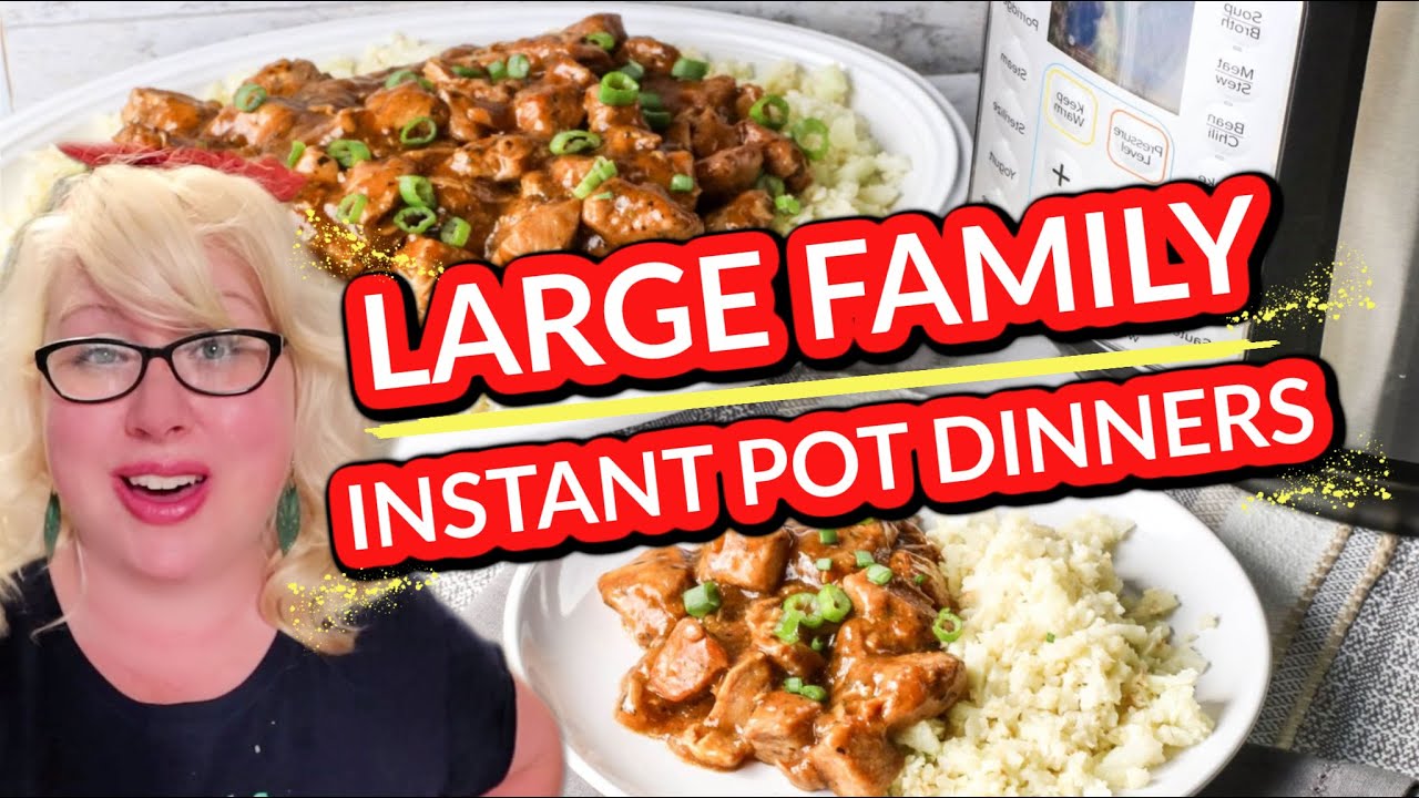 😍LARGE FAMILY INSTANT POT RECIPES | Easy Chicken and Dumplings, Lazy Lasagna, & Chicken Teriyaki!