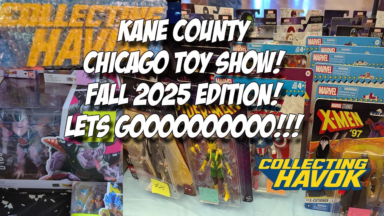 Выставка игрушек округа Кейн в Чикаго! Осень 2025! #toyhunt #vintagetoys #toyshow
