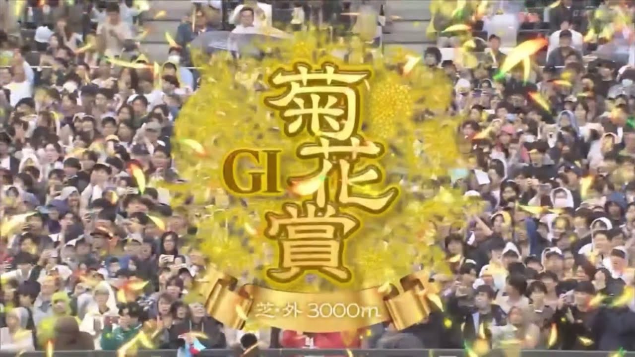 京都11R 第86回菊花賞（GⅠ）