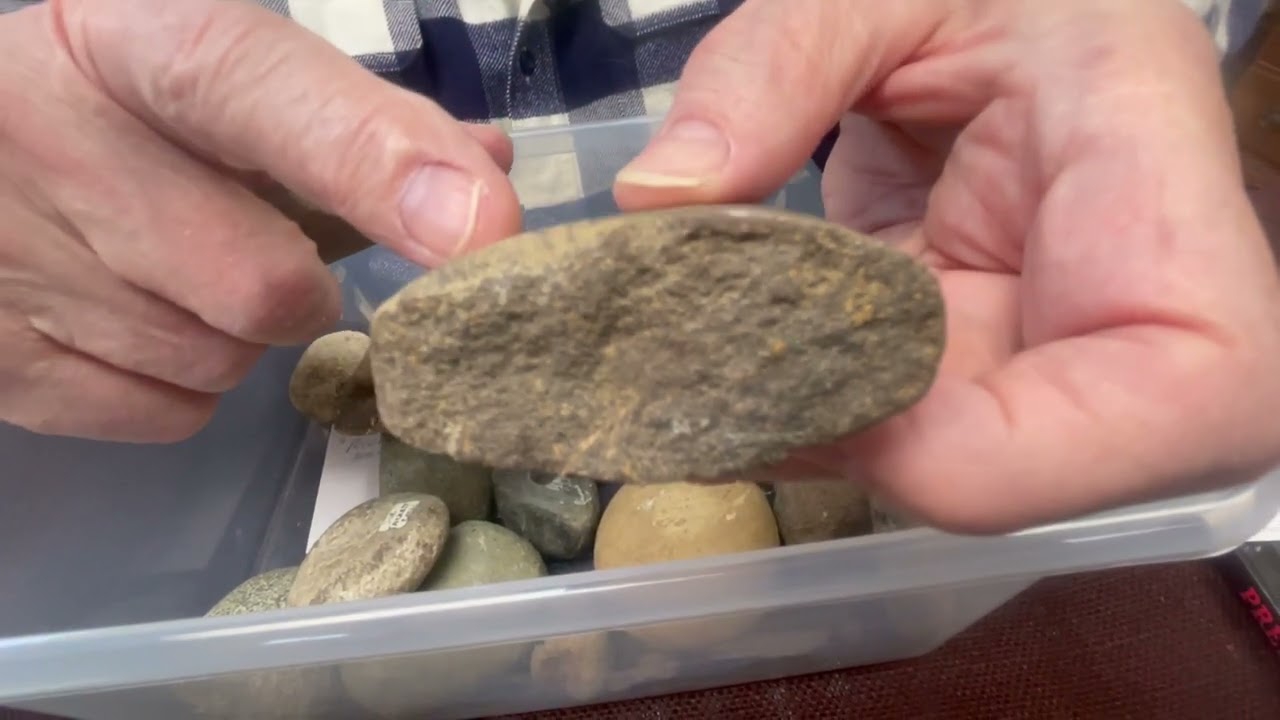 A Potpourri: Field Finds and Upcoming Videos