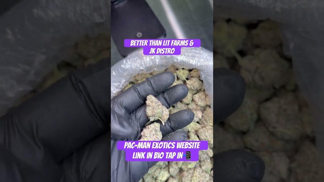 #cbd #viral #thca #review #fyp #cannabiseducation #zaza  #exotic #music #shorts