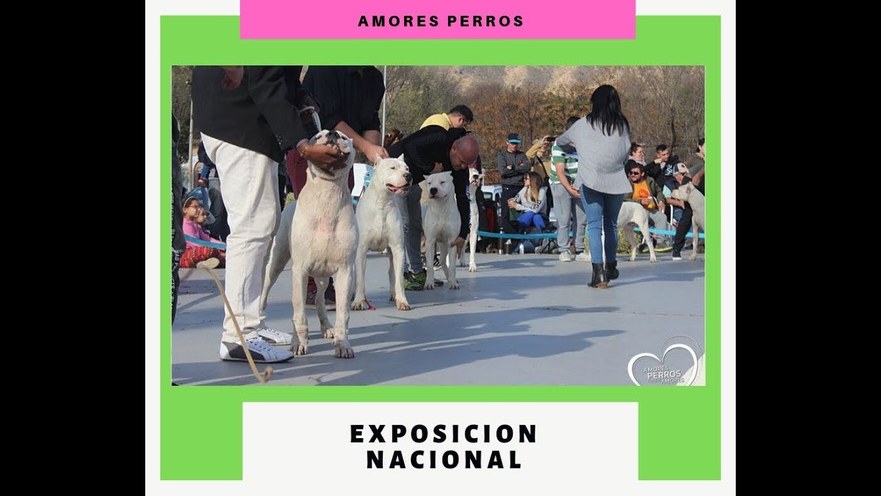 Exposición Nacional 2019