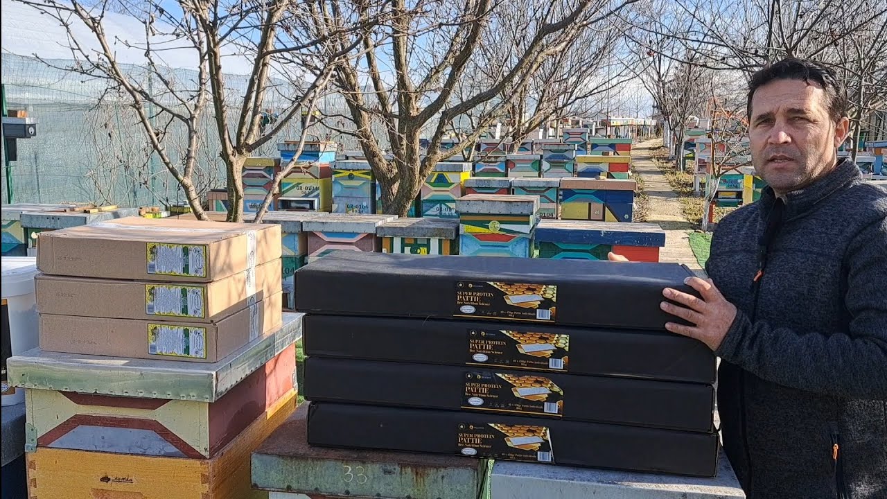 Cea mai bună hrană pentru o dezvoltare explozivă