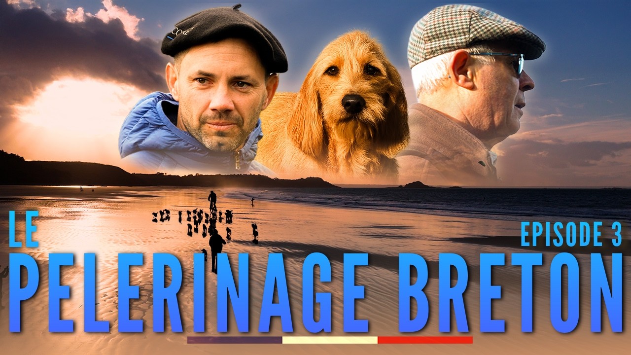 Une chasse au lapin magnifique sur la côte Bretonne: Le pèlerinage breton épisode 3