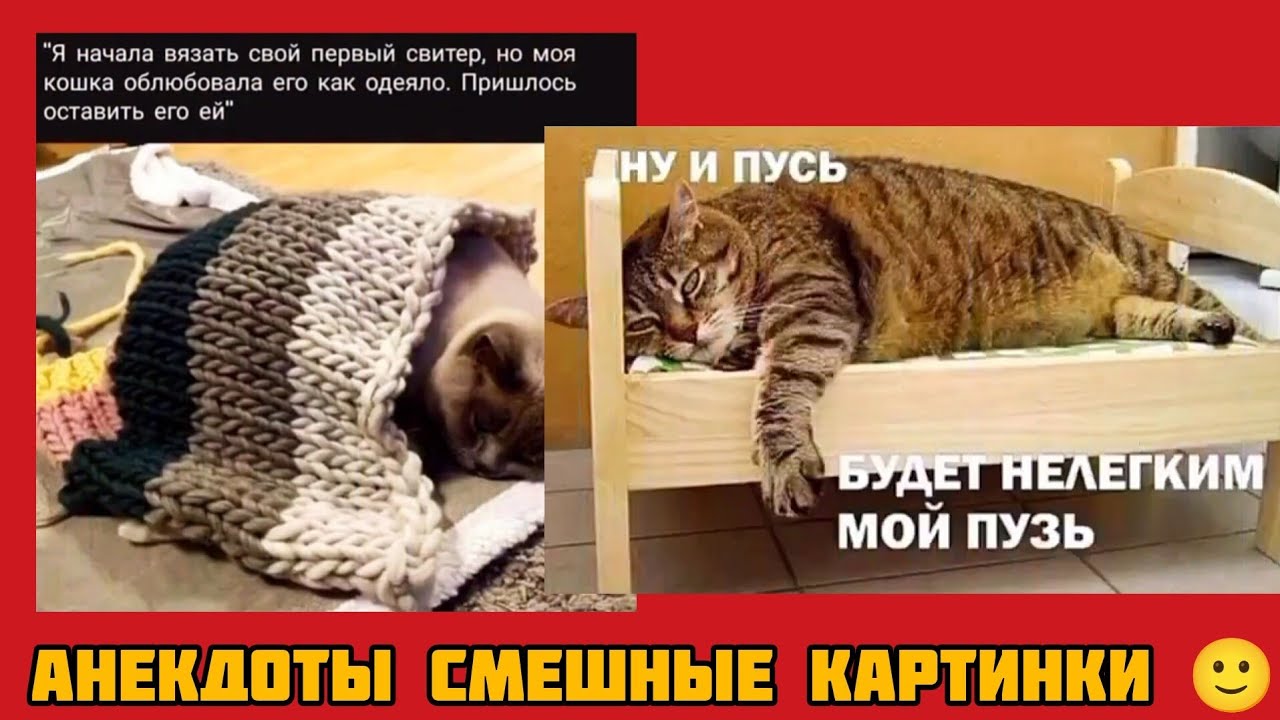 НУ И ПУСЬ БУДЕТ НЕЛЕГКИМ МОЙ ПУЗЬ, смешные картинки и весёлая музыка 🤣