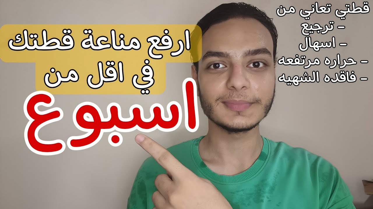 فيروس قاتل منتشر في القطط - في اقل من اسبوع هترفع مناعه قطتك - احمي قطتك من فيروس الطاعون 
