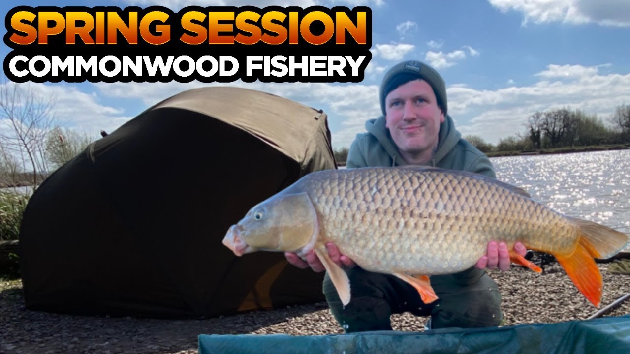 Unforgettable Spring Carp Experience at Wrexham's Commonwood Fishery
