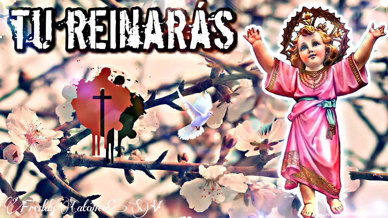 ⚜️Tu Reinarás - (CUMBIA) Freddy Catholic SV (Letra y Acordes en la Descripción)✨🇸🇻 El Salvador