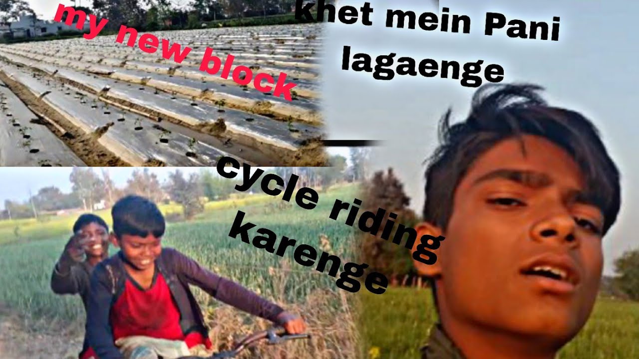 Aaj khet❤️ mein पानी💦 लगाएंगे all cycle🚲 riding करेंगे my 🤔cycle#video #vlogs 